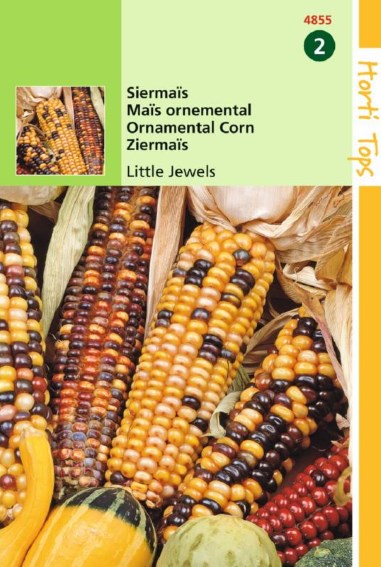 Ornamental corn Little Jewels (Zea mays) 25 seeds